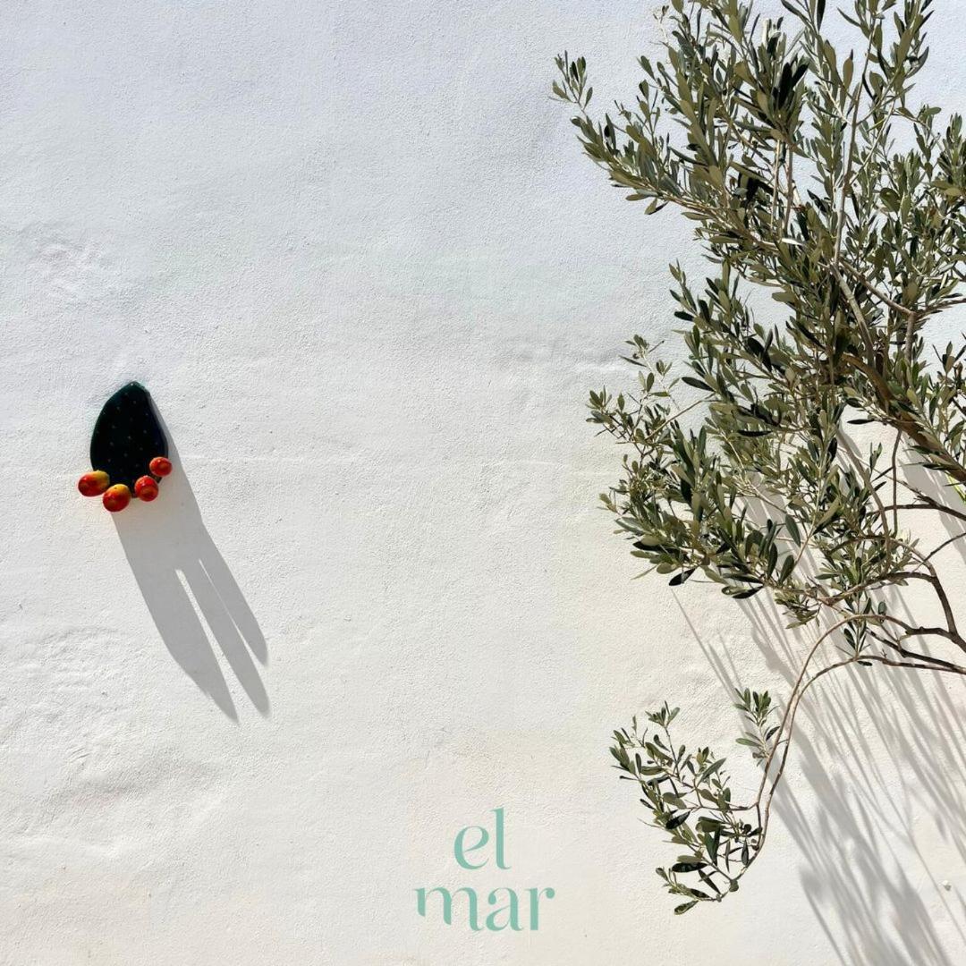 Apartamento El-Mar Locazione Turistica House With Exclusive Terrace Polignano a Mare Exterior foto